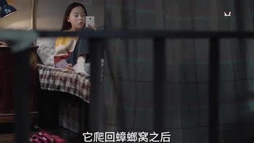 李则则爆料自己姐姐视频,真相与争议 第2张 李则则爆料自己姐姐视频,真相与争议 第2张